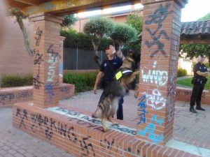 Prevención drogas unidad canina